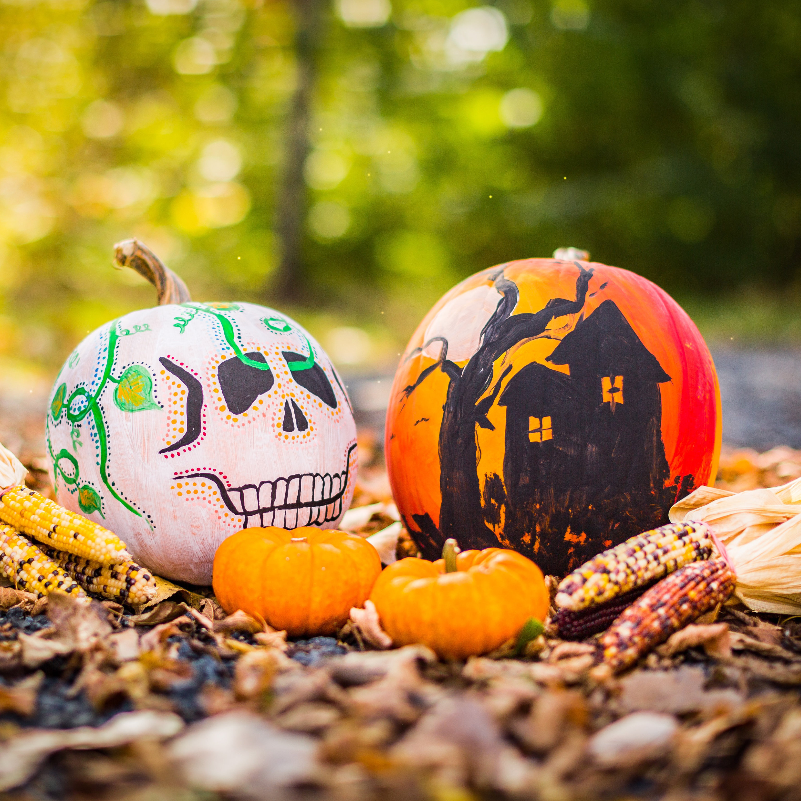 Pumpkins Decorated for Halloween